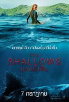 The Shallows (2016) นรกน้ำตื้น