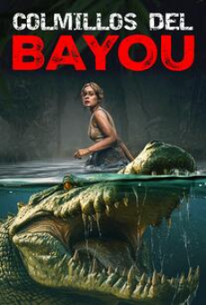 The Bayou (2025)