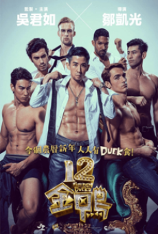 12 GOLDEN DUCKS (2015)